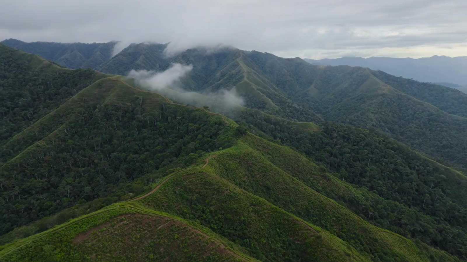 High mountains above the coffee belt (licensed stock, generic)