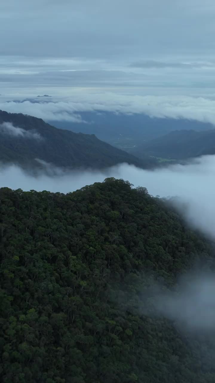 Misted mountain ridge above the coffee belt (licensed stock, generic)