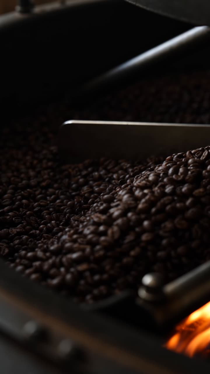 Roasted: coffee craft, cinematic (licensed stock)